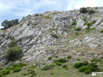 Montaña Palentina.Fuentes Carrionas; ruta puerto de canencia grupo pequeño senderismo madrid gente p